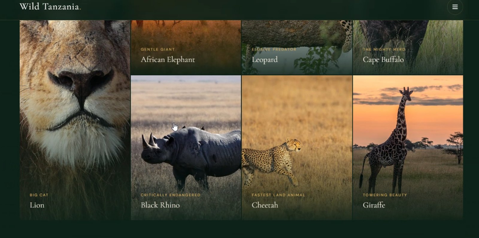 Tourism Website Features