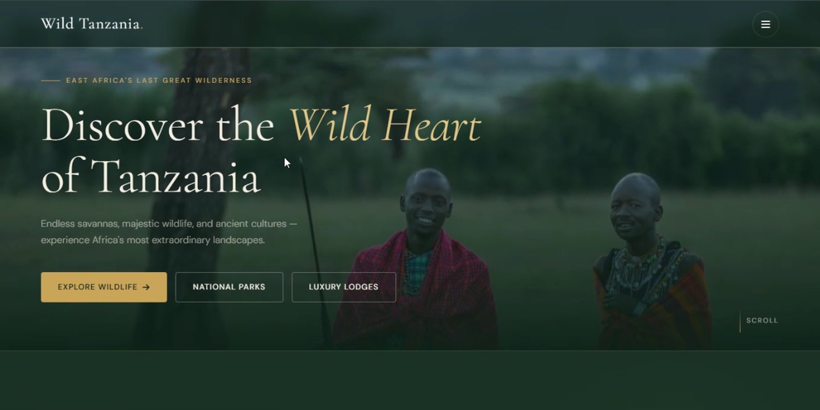 Wild Tanzania tourism website screenshot